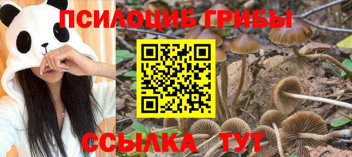 наркошоп  Вход с VPN  Усинск  Галлюциногенные грибы GOLDEN TEACHER 